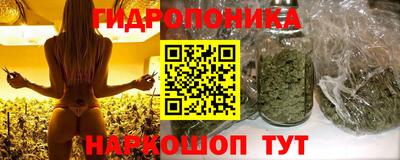 PSILOCYBIN Малоярославец