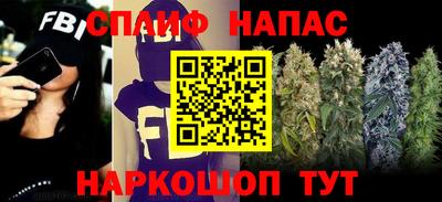 PSILOCYBIN Малоярославец