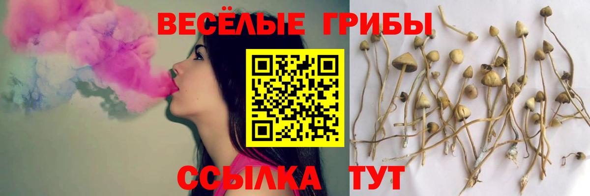 Ковров  Псилоцибиновые грибы Magic Shrooms  Вход с VPN 
